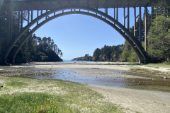 Russian Gulch Bridge and Russian Gulch Creek