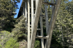 Russian Gulch Bridge detail